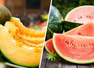 Melon ou pastèque ?
